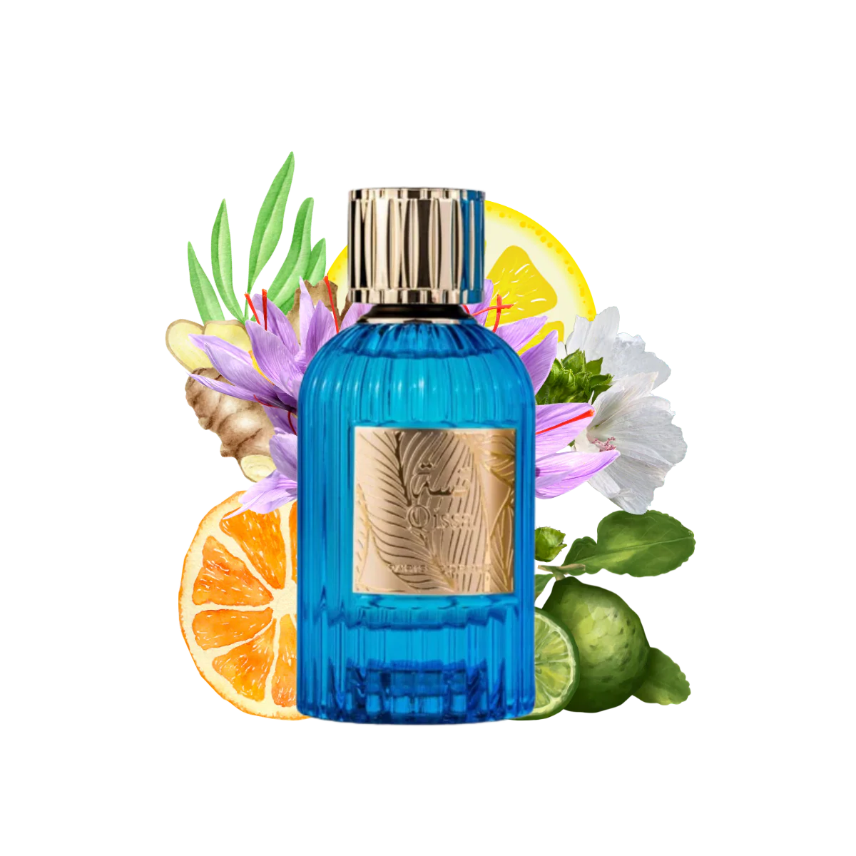 Citrus Floral Woody Fragrance with Bergamot, Jasmine and Amber Notes