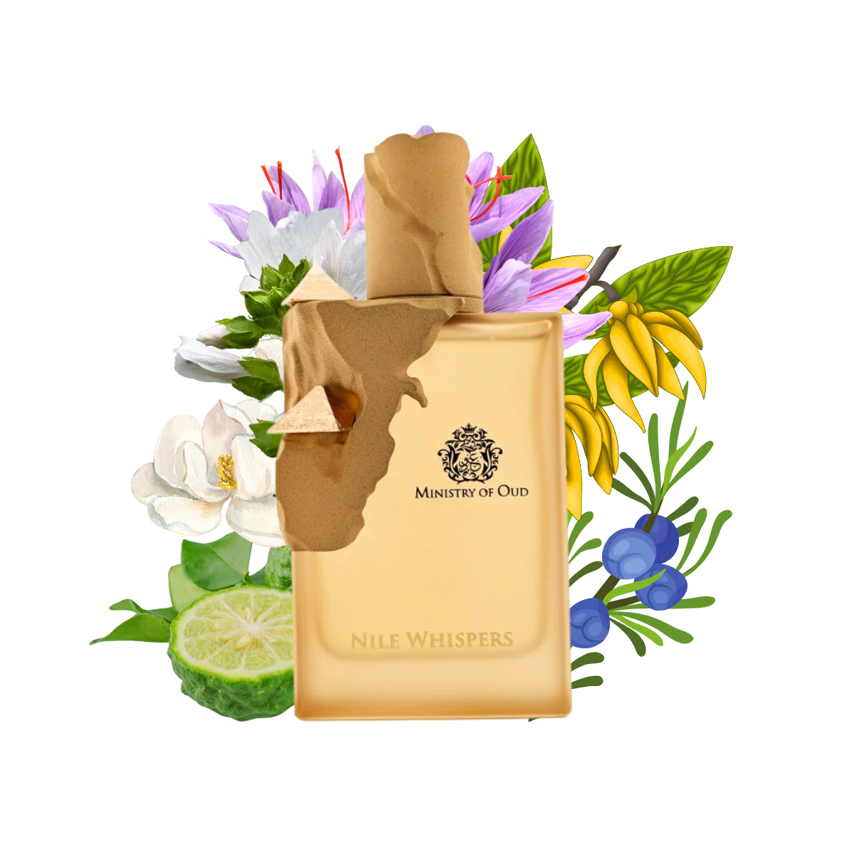 Woody Leather Fragrance with Bergamot, Saffron, Patchouli and Musk