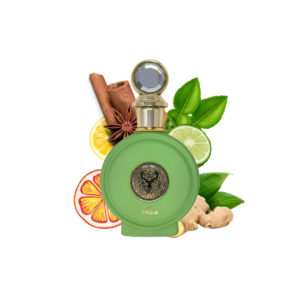 Citrus Spicy Woody Fragrance with Bergamot, Ginger and Black Tea